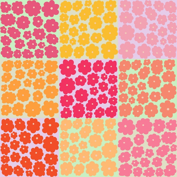 Colourful bright daisies