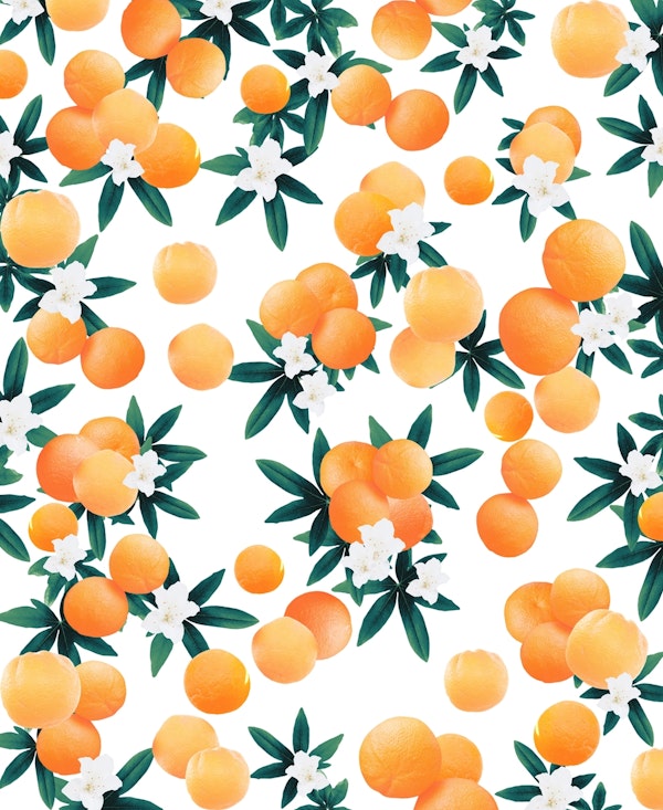 Orange Twist Flower Vibes 6