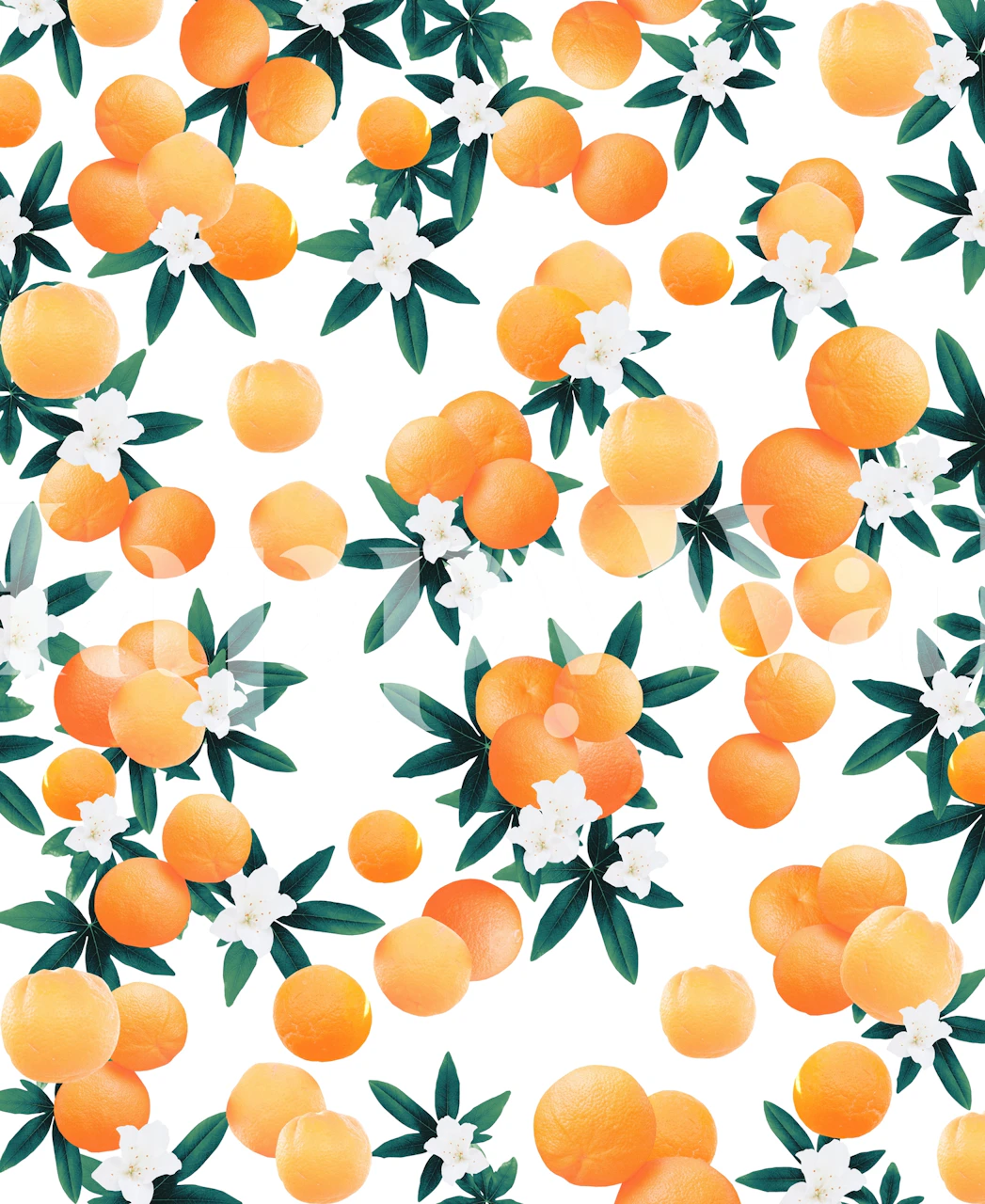 Orange floral wallpaper with leaves on white background