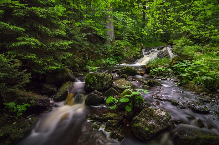 Spring Cascade Wallpaper - happywall.com