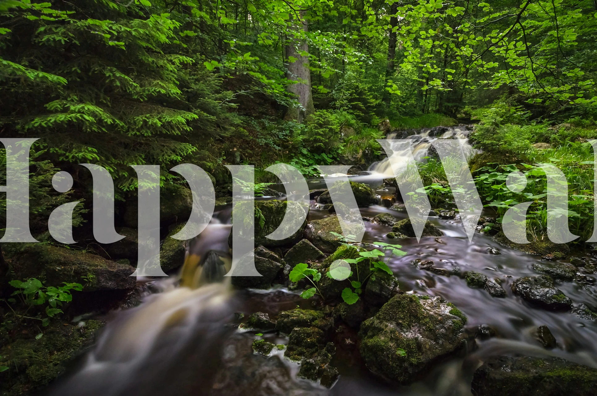 Wandbild eines Waldbachs mit herabstürzendem Wasser und grünem Laub mit dem Titel „Spring Cascade“