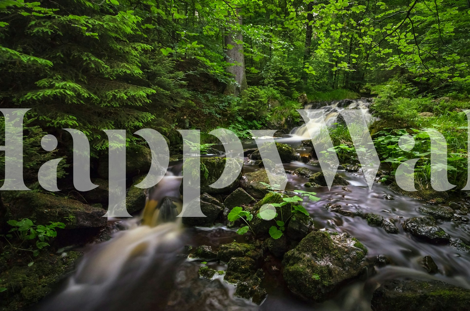 Wandbild eines Waldbachs mit herabstürzendem Wasser und grünem Laub mit dem Titel „Spring Cascade“
