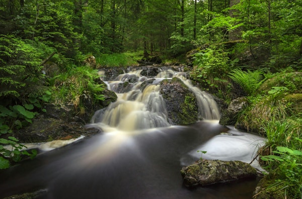 Ethereal Spring Waters