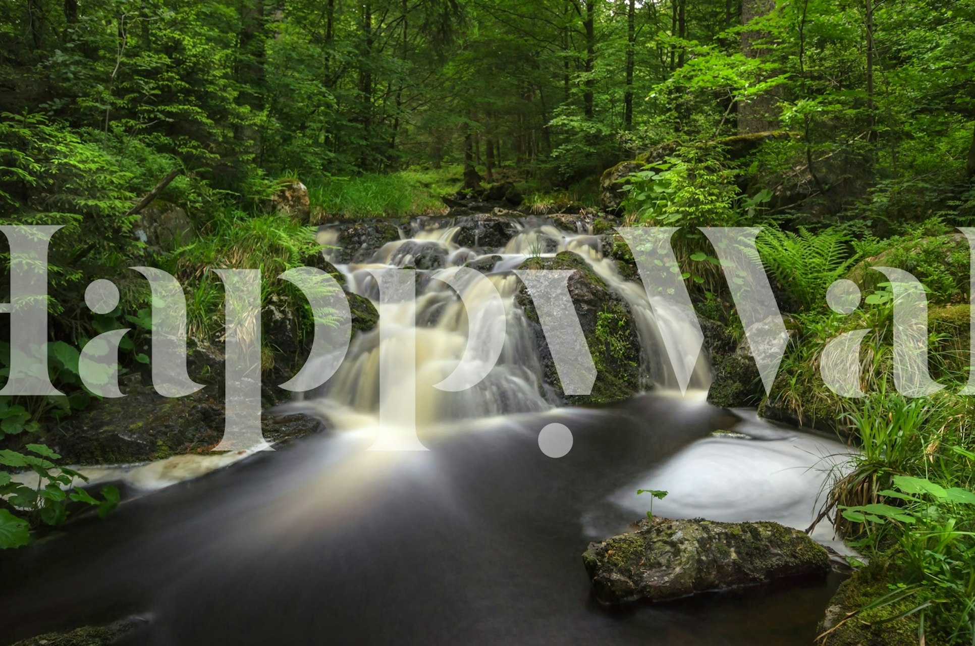 Flowing water over rocks surrounded by green foliage wallpaper