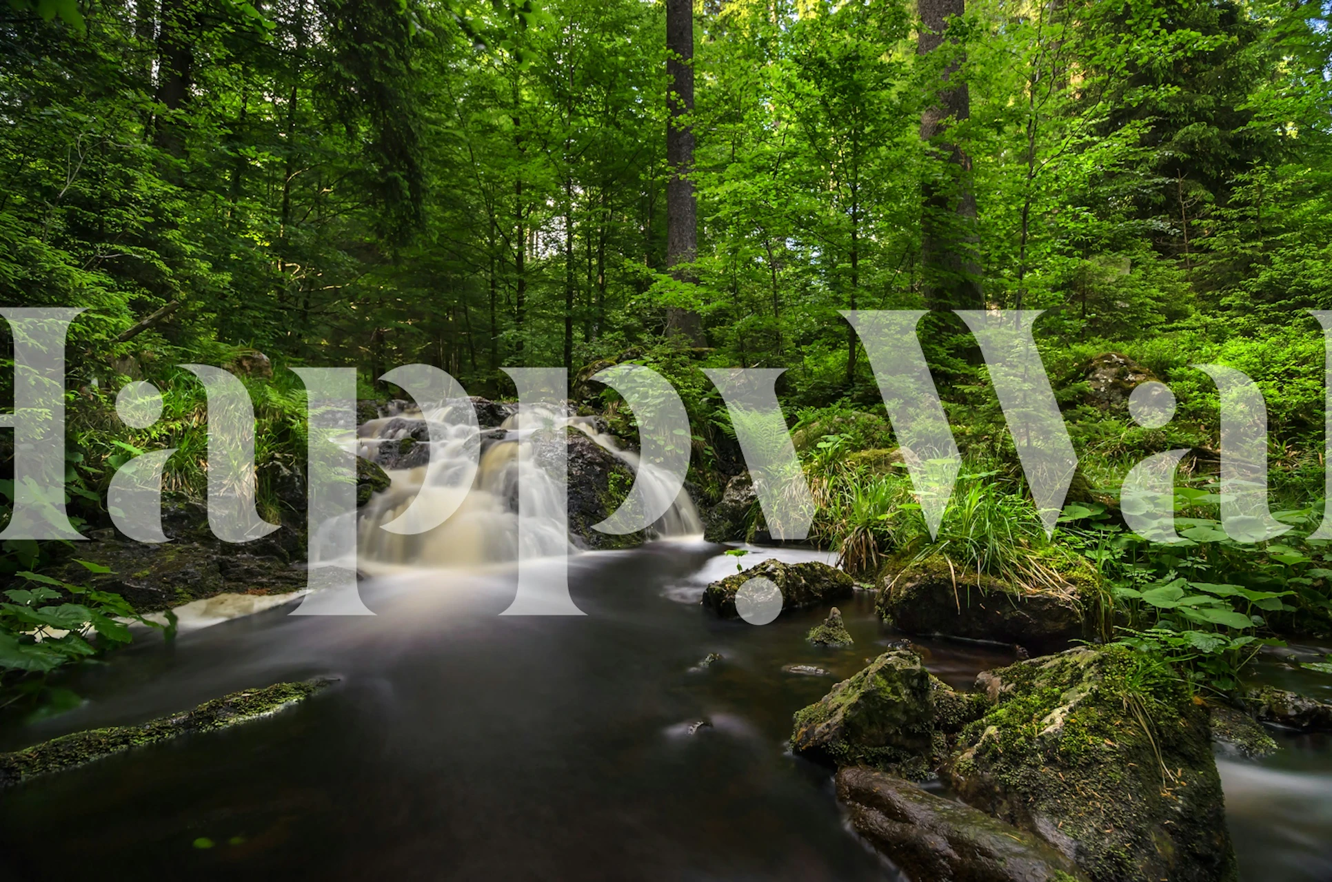 Tapeta z spokojną scenerią natury