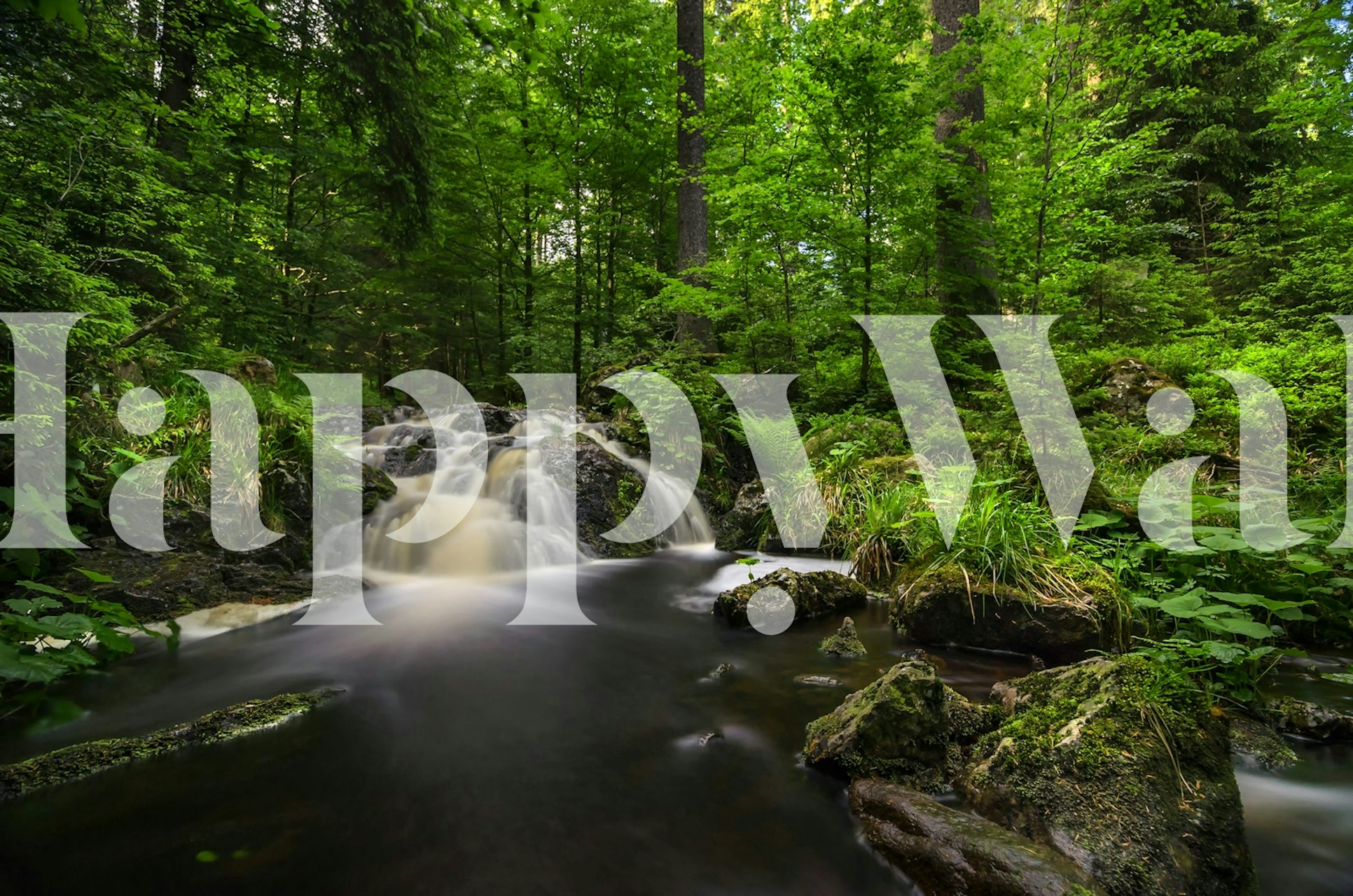 Wallpaper featuring a serene nature scene