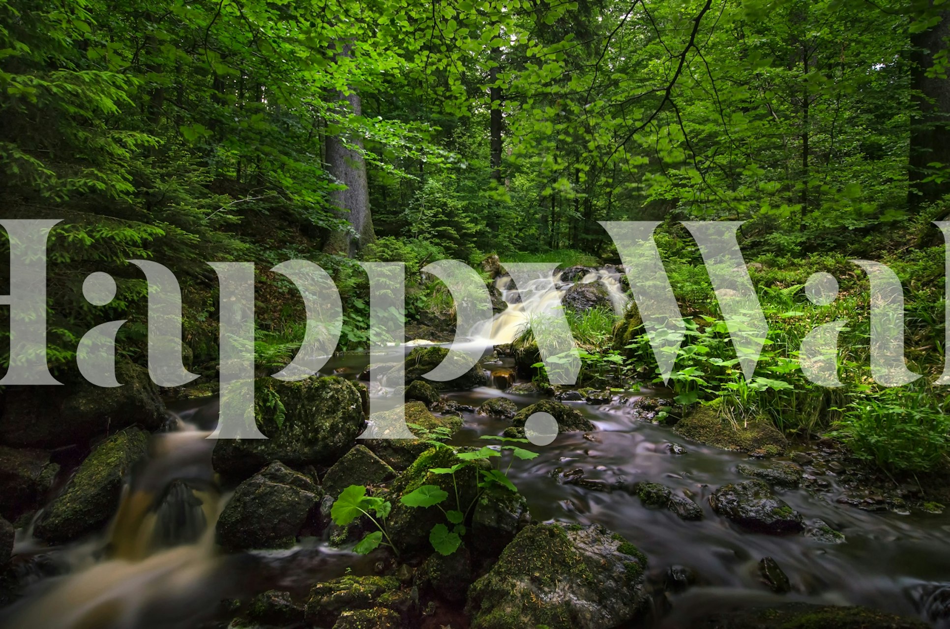 Flowing stream surrounded by lush green foliage wallpaper