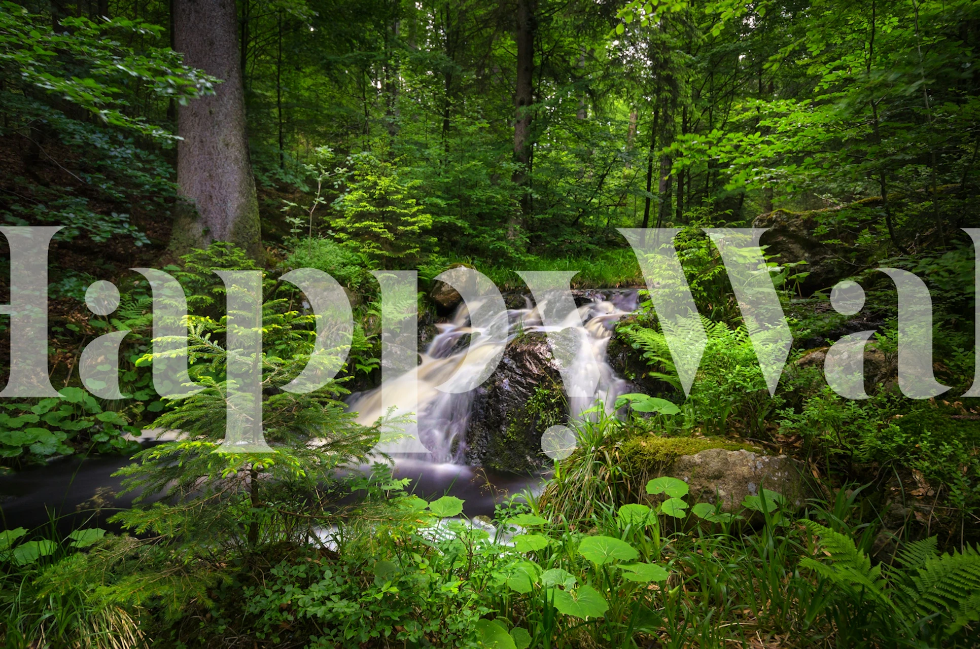 Spring Rushing Waters wallpaper in a room