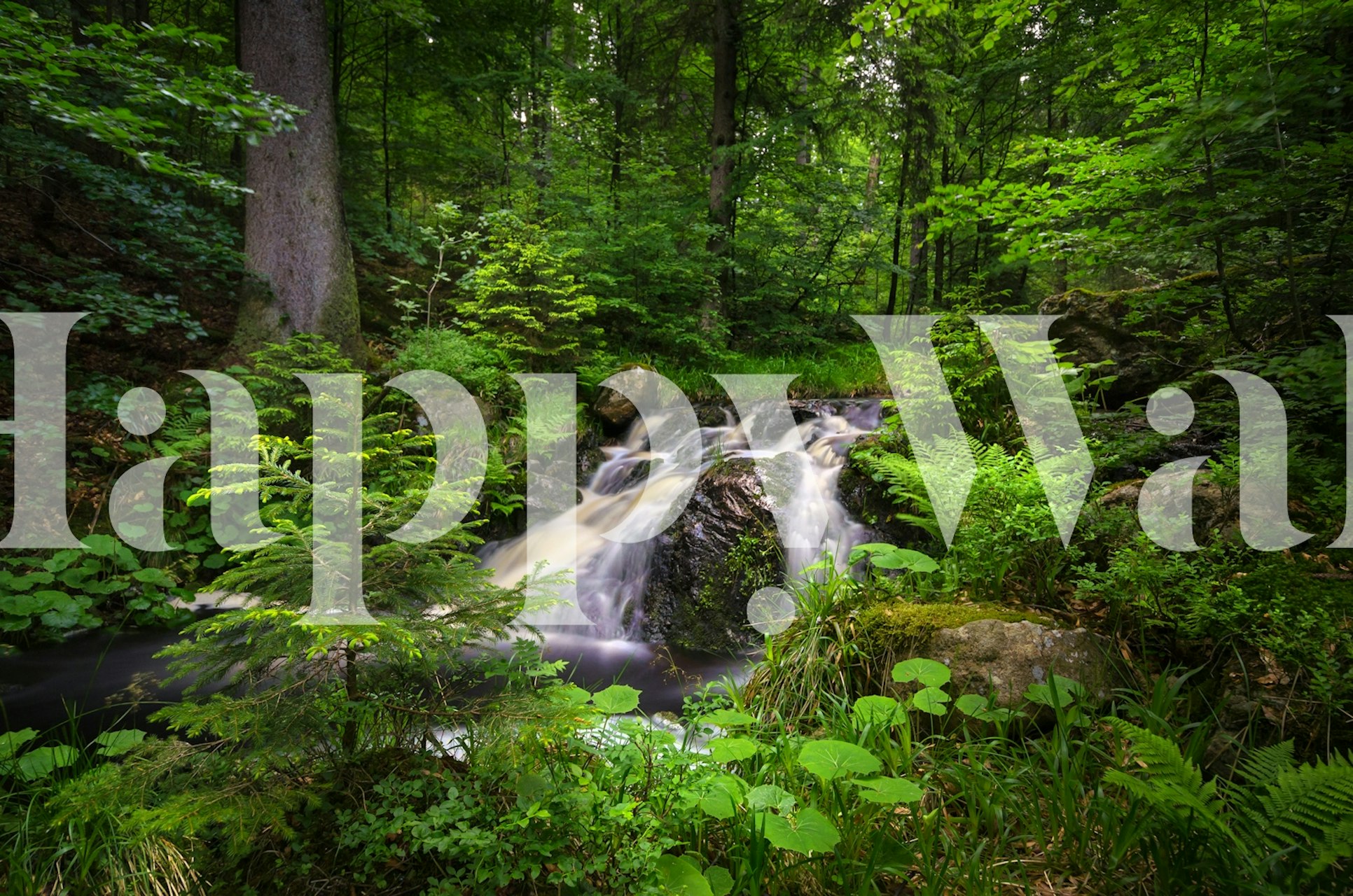 Spring Rushing Waters wallpaper in a room