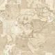 Old maps low opacity wall ideal