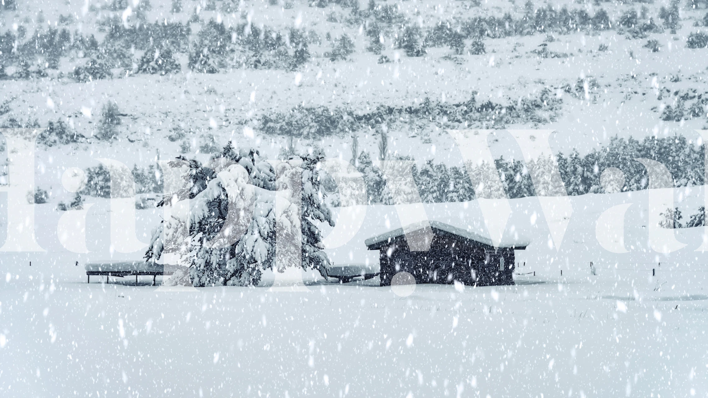 Snowy day wallpaper design in a room