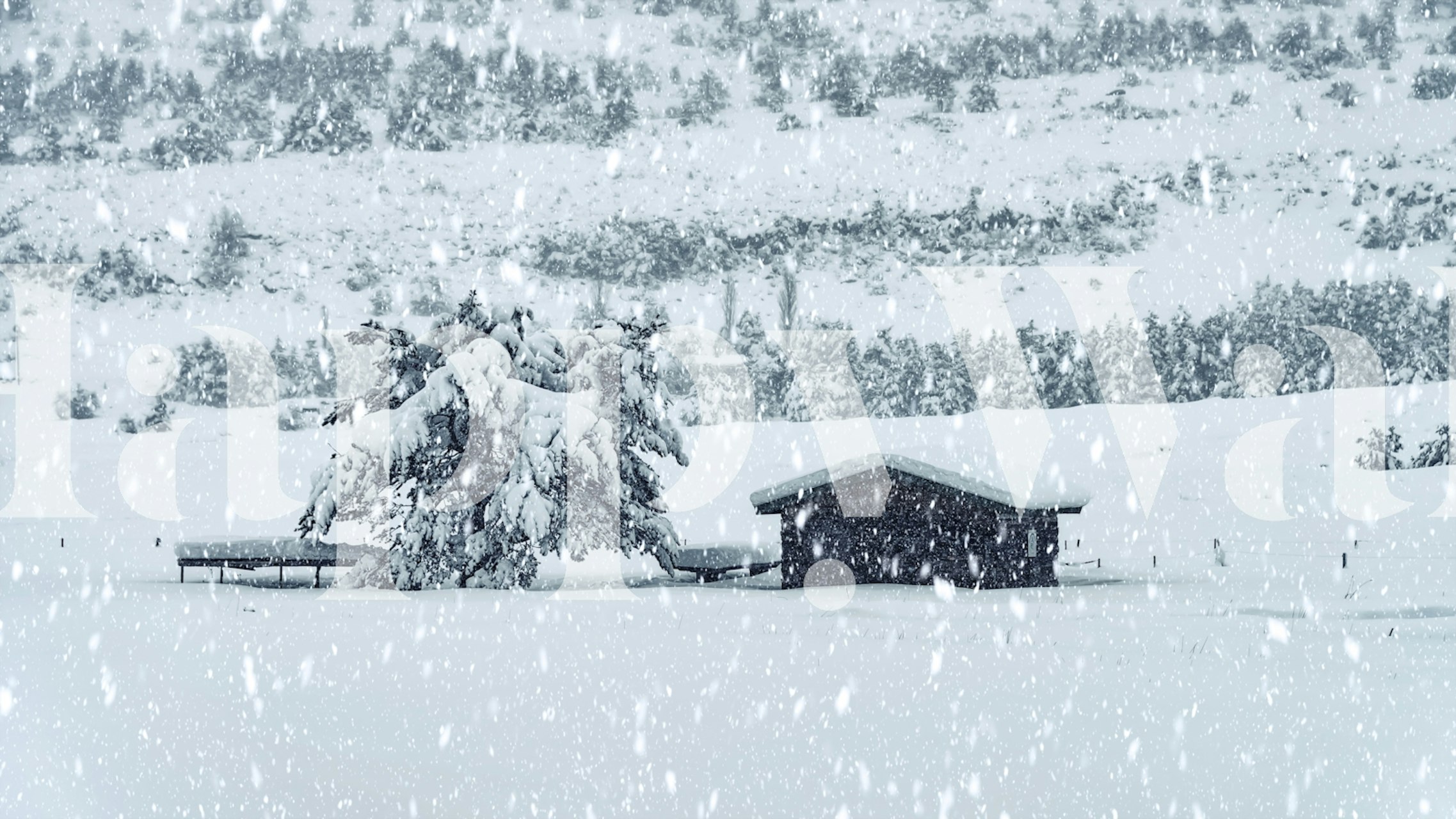 Snowy day wallpaper design in a room