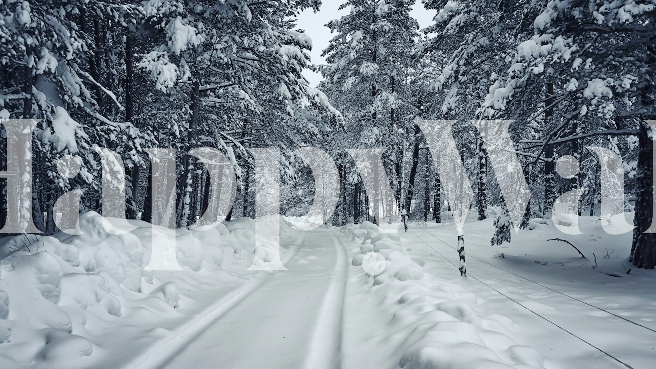 Tapeta Path in winter v útulném pokoji