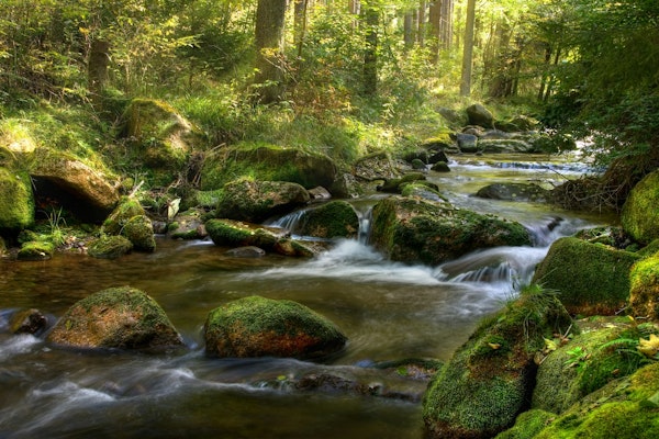 Springtime magical water