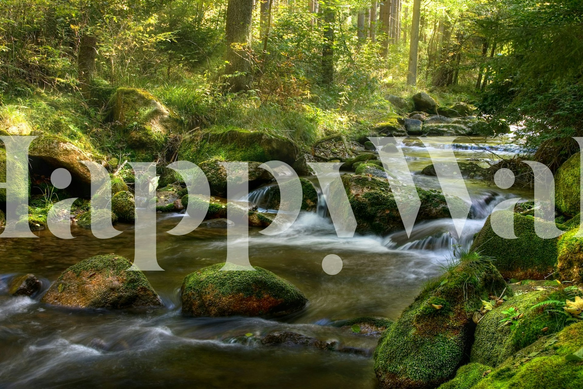 Papel de parede de paisagem aquática exuberante em um quarto