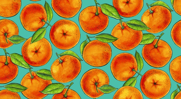 Oranges on turquoise