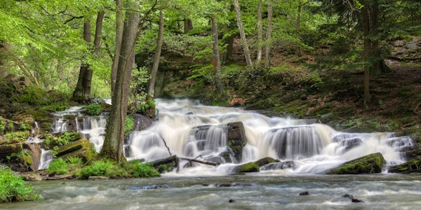 Springtime enchanted cascades