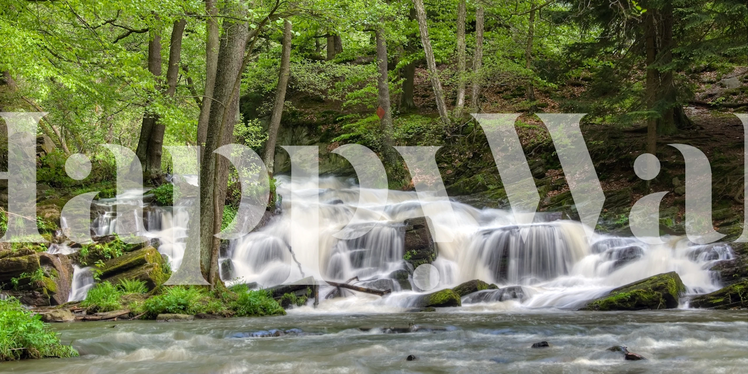 Springtime enchanted cascades wallpaper in a room