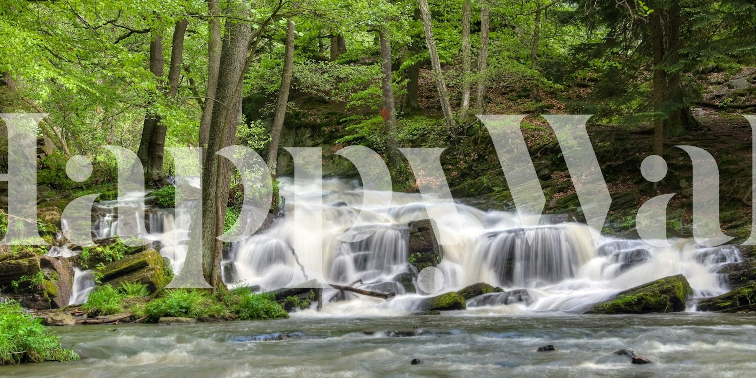 Behang Springtime enchanted cascades in een kamer