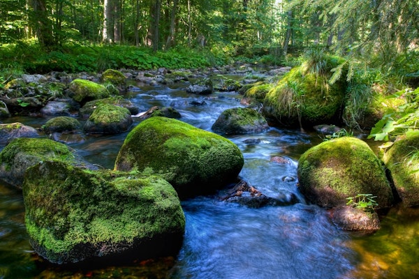 Spring whispering Falls