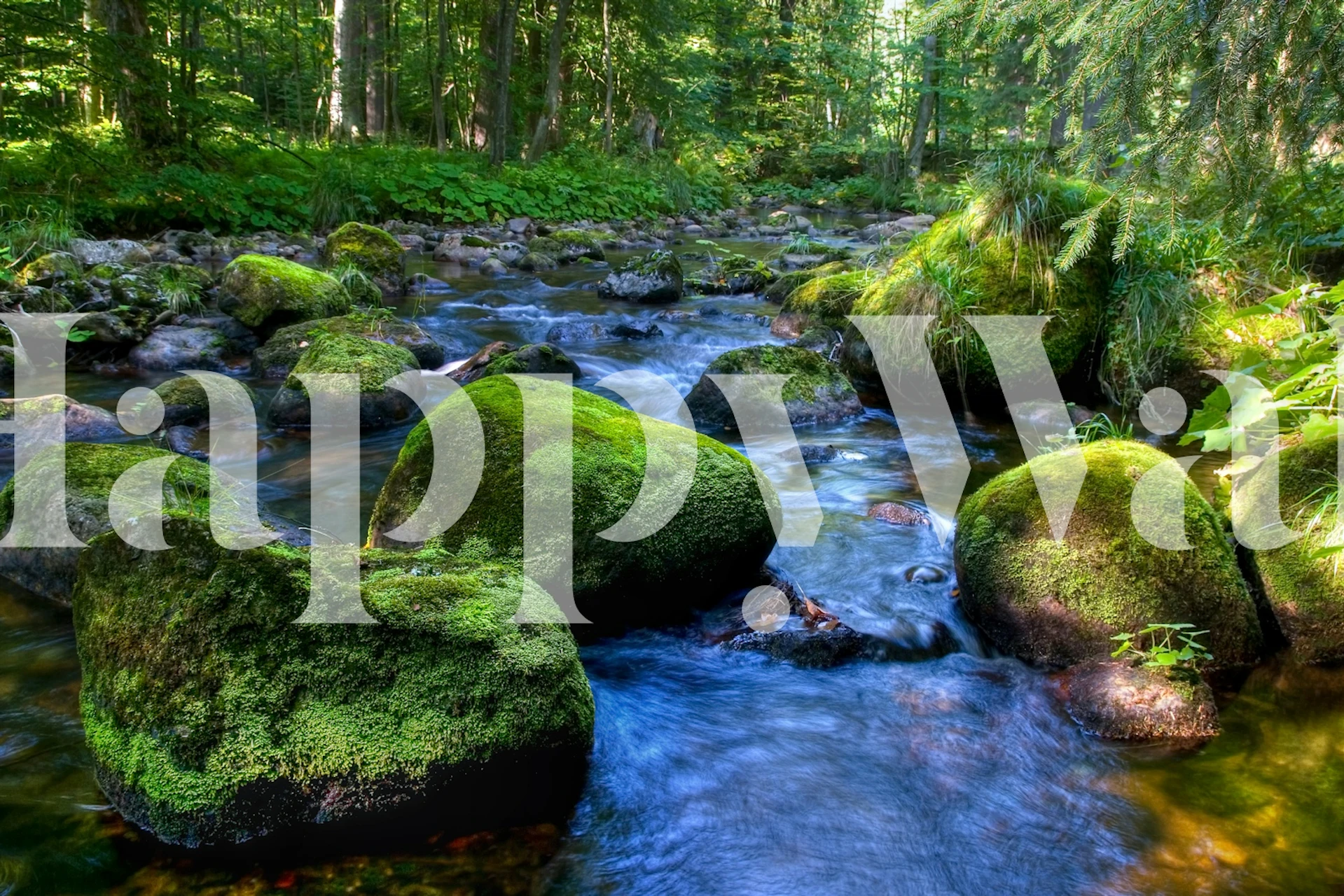 Lush green moss-covered rocks by a flowing river wallpaper