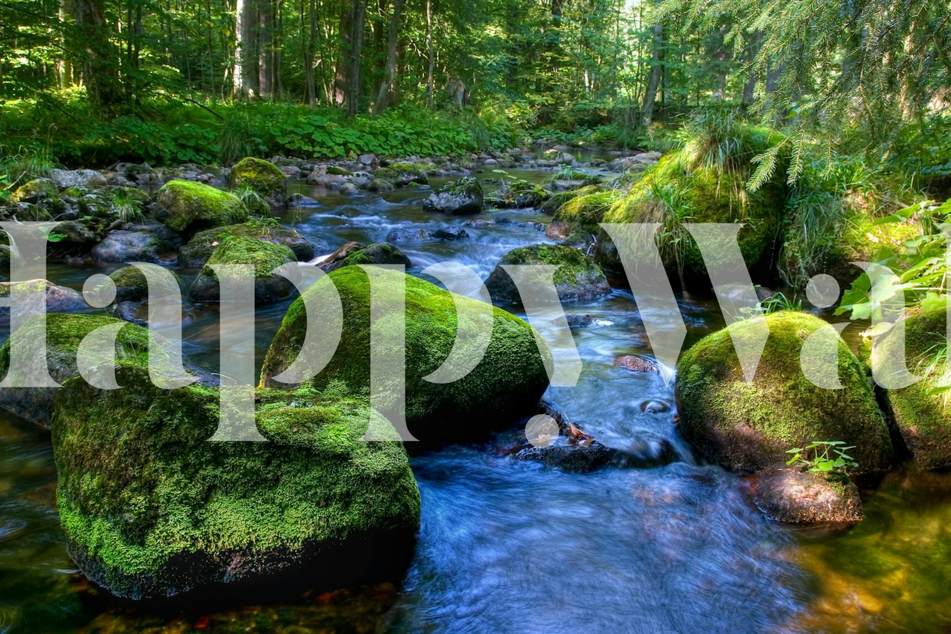 Lush green moss-covered rocks by a flowing river wallpaper