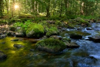 Spring Ethereal Torrent tapete