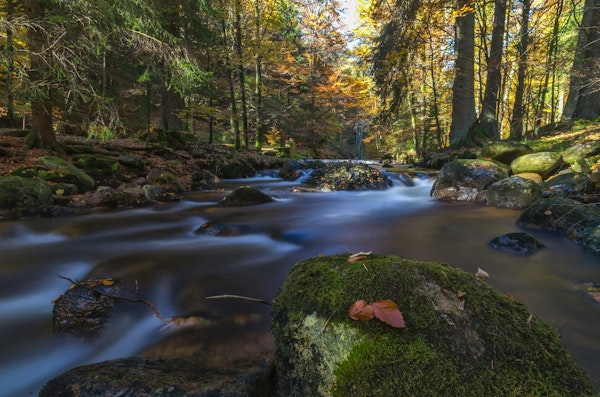 Autumn Arcade cascade