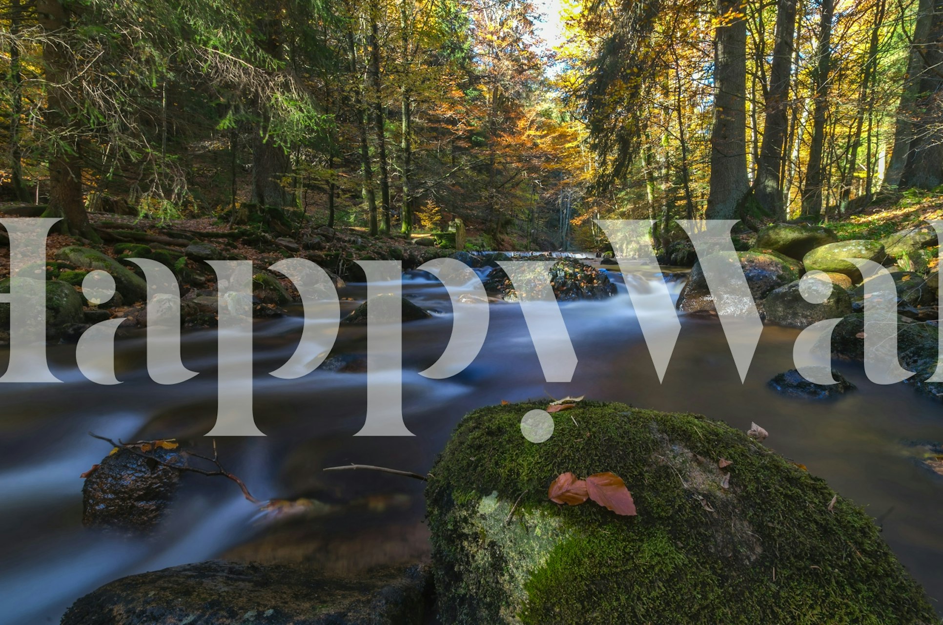 Autumn Arcade cascade wallpaper in a room