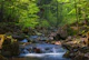 Springtime Spellbound Rapids