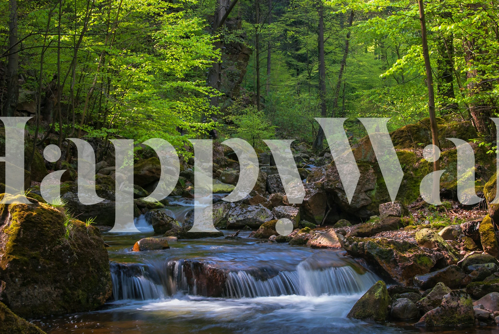 Lush greenery and flowing water in a botanical design wallpaper