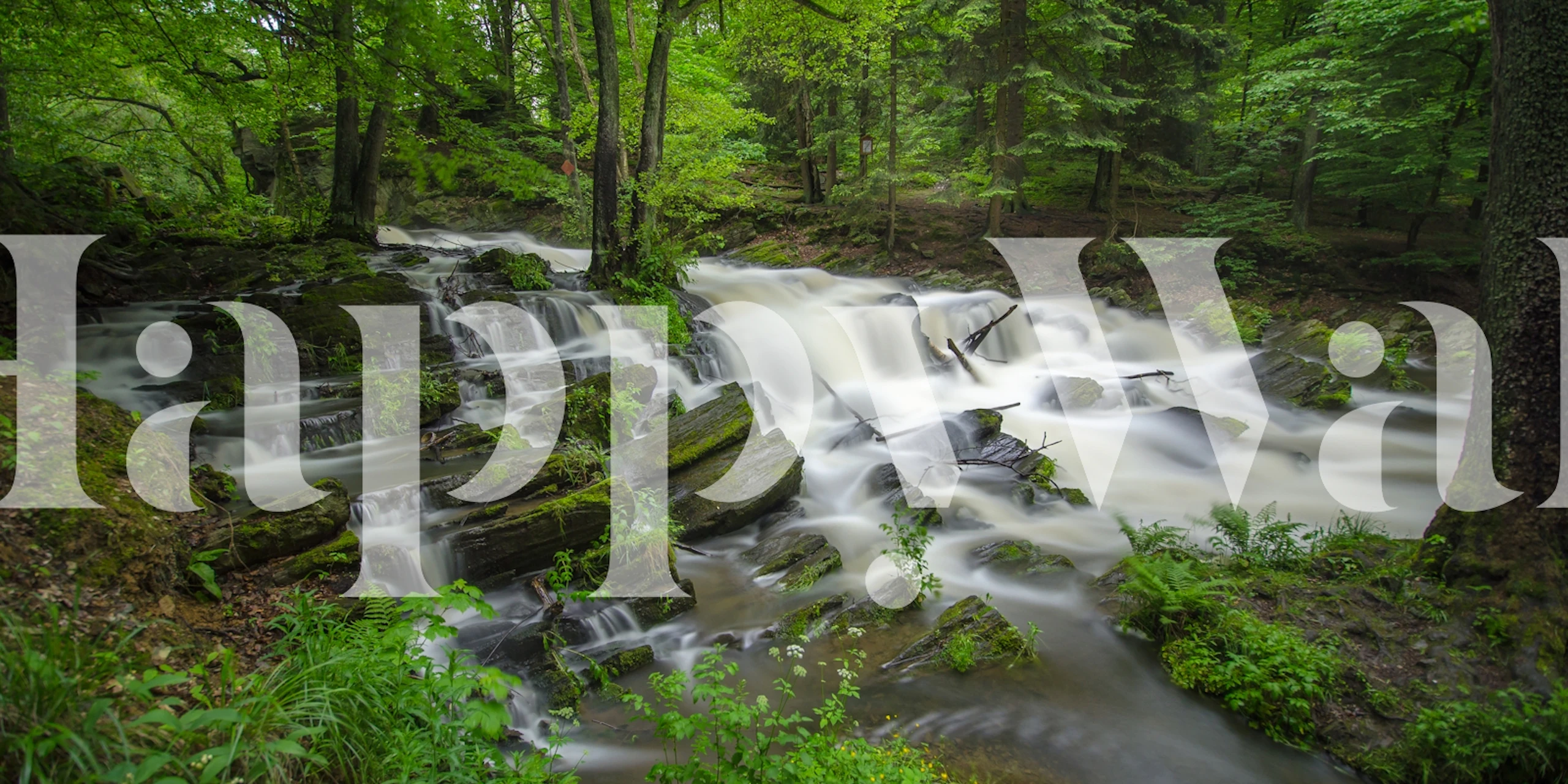 Springtime forest waterfall mural with lush greenery and cascading waters.