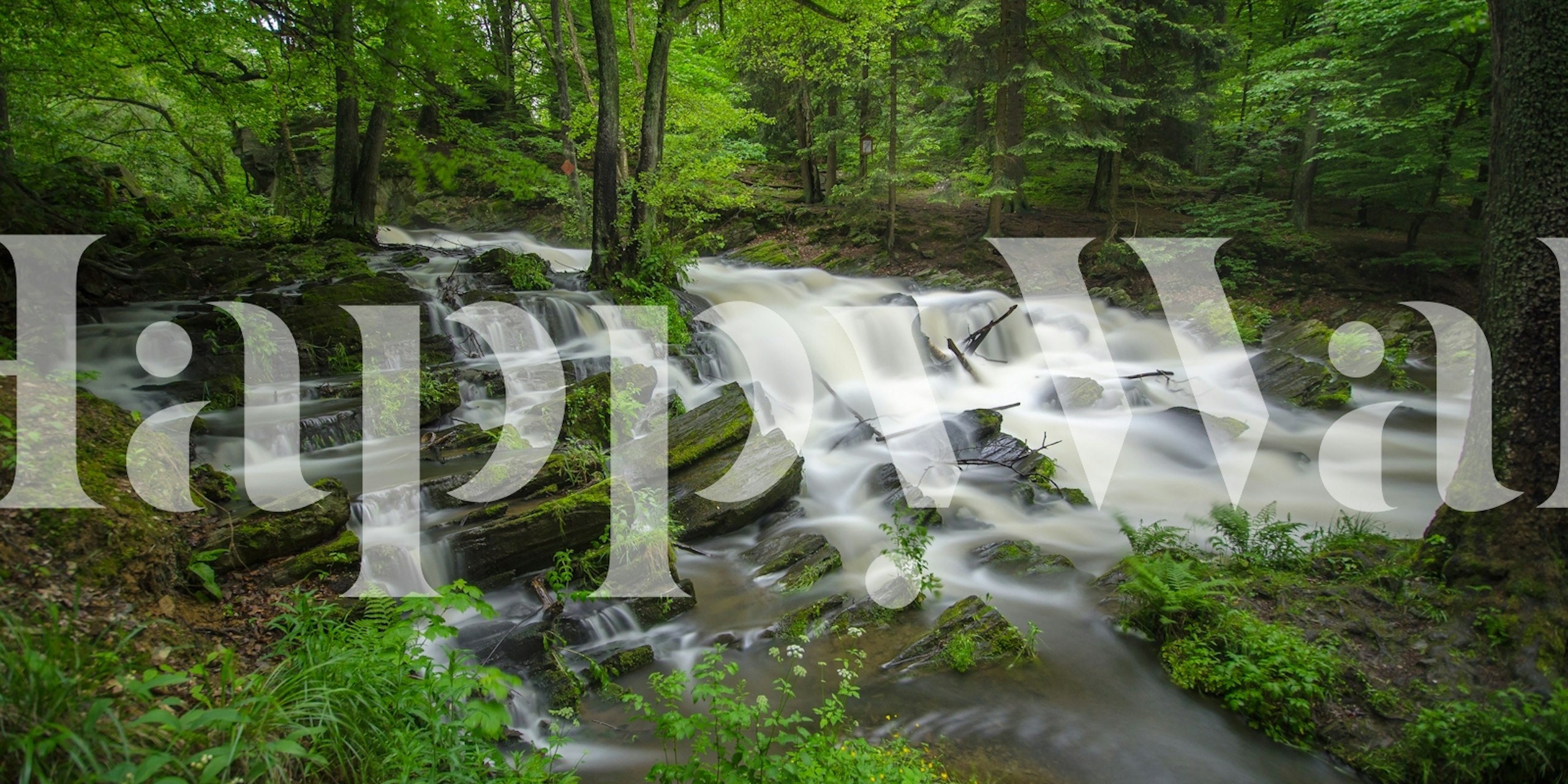 Våren skog fossefall veggmaleri med frodige grøntområder og brusende vann.