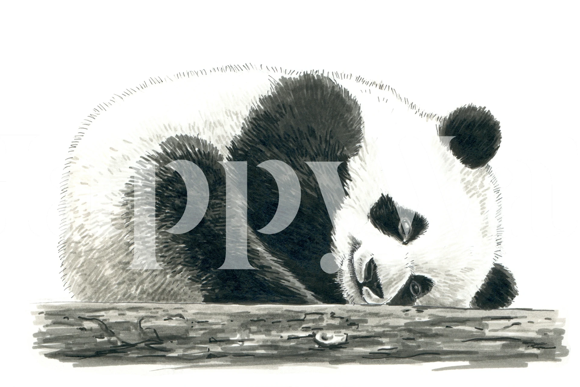 Panda bear resting on a log in black and white wallpaper
