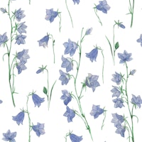 Bluebells on white tapete