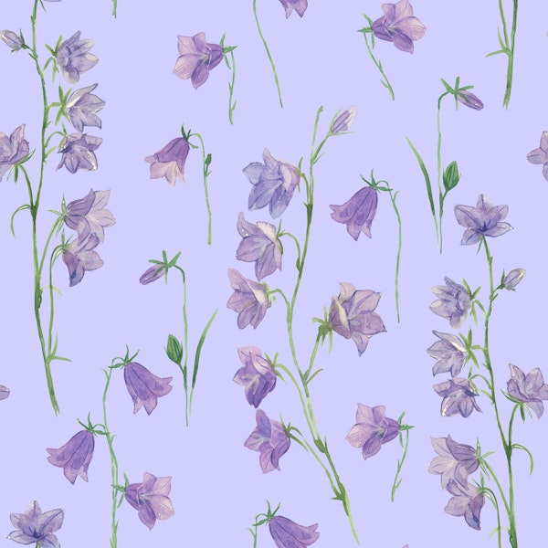 Bluebells on pale violet