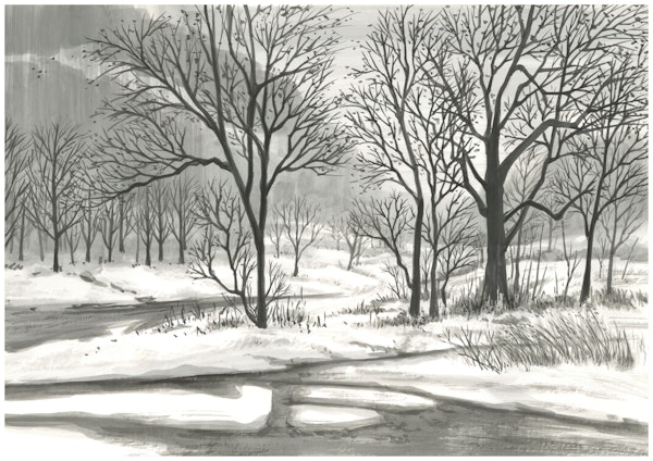 Japanese mountains in winter