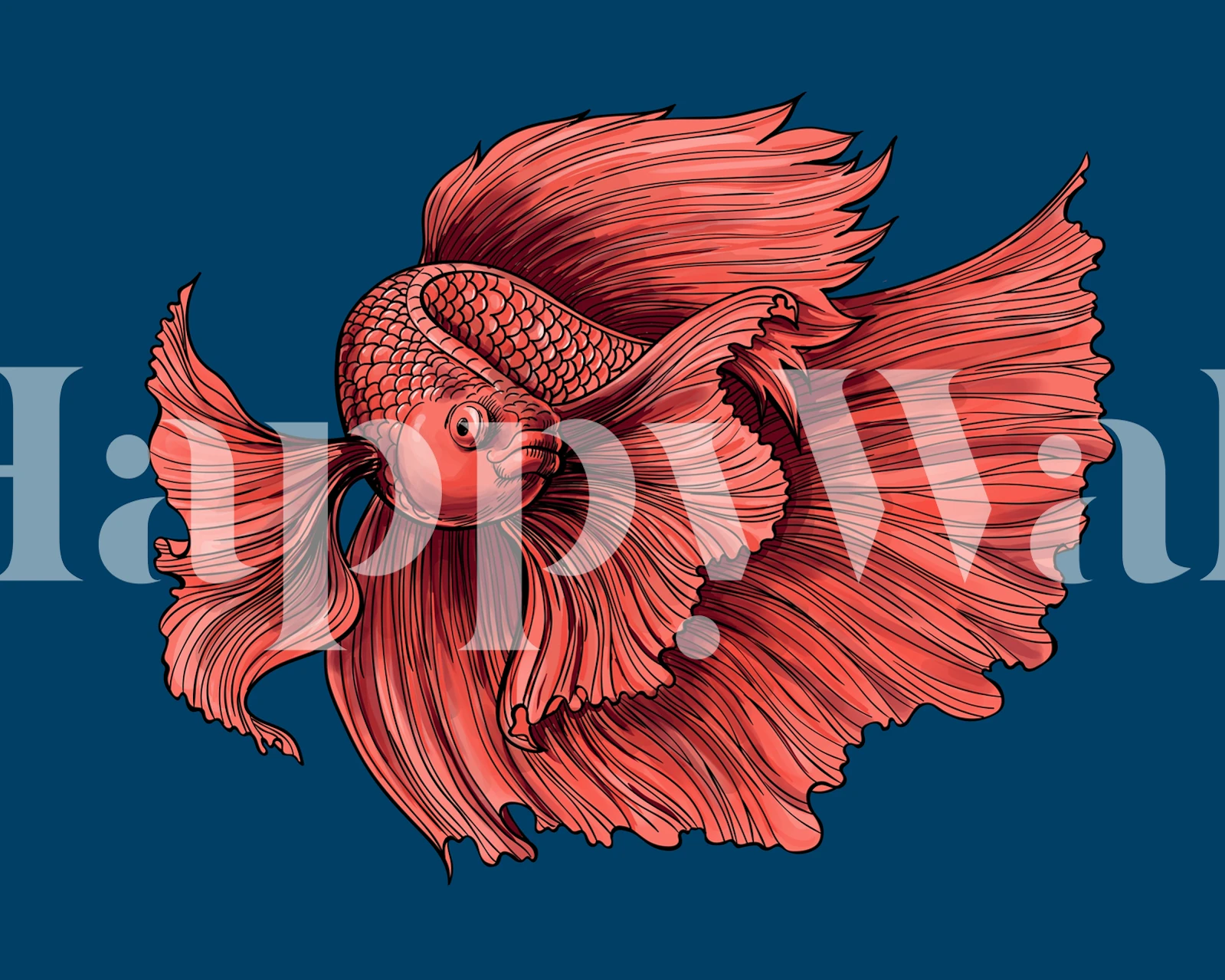 Siamese Fighting Fish wall mural on blue background