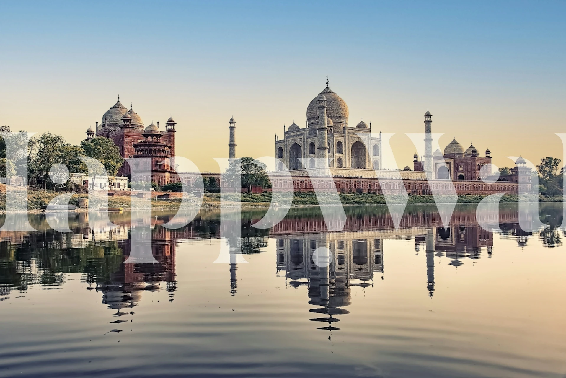 Taj Mahal wallpaper displayed in a room