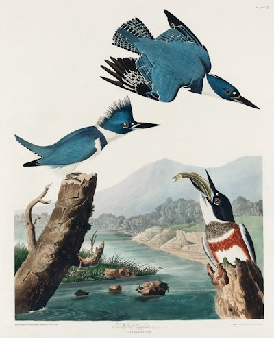 Mural