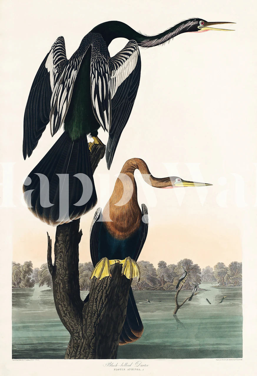 Bird illustrations on a branch with soft background colors wallpaper