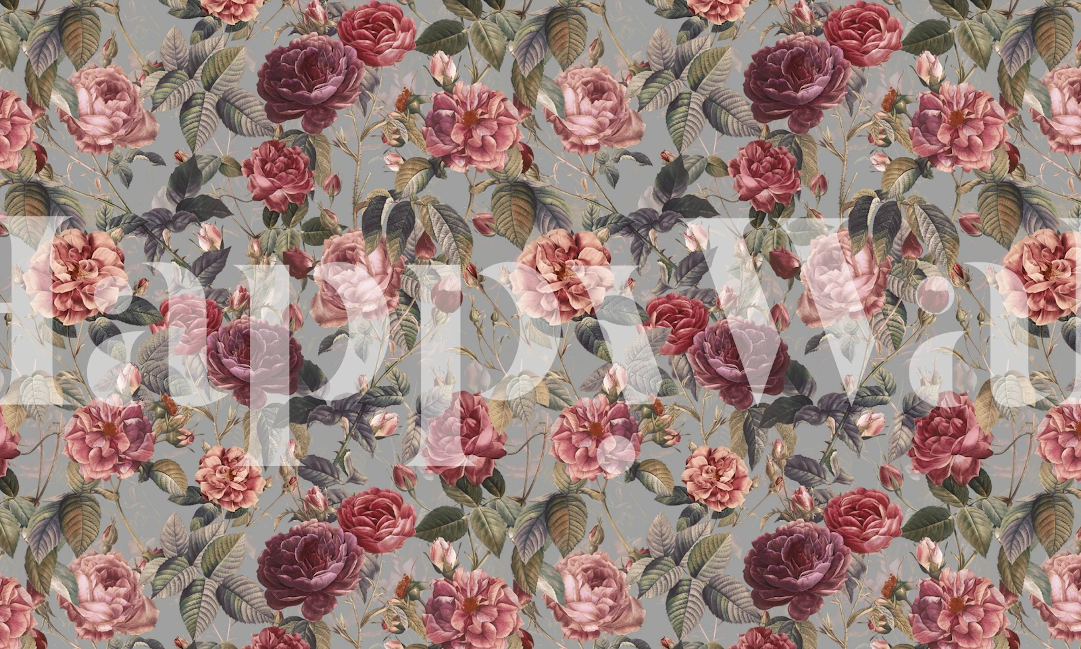 Rose Garden XI - II floral wallpaper design