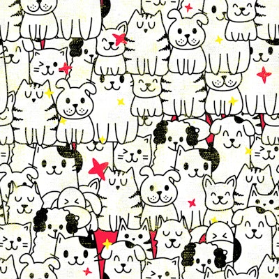 Pattern