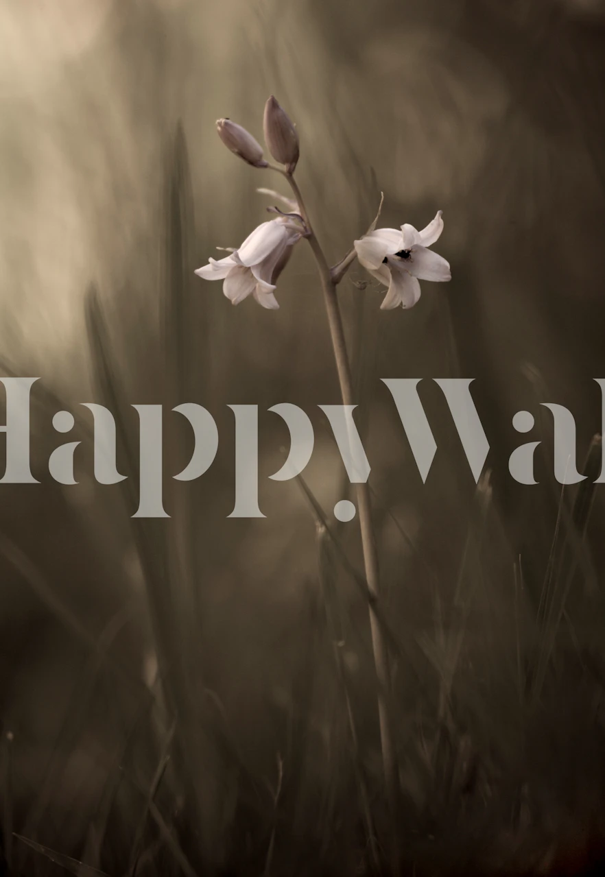 Élégante fresque murale à fleur unique en soft-focus de Happywall