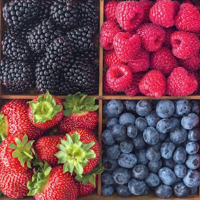 Τοιχογραφία