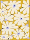 Daisy Fresh - yellow peri