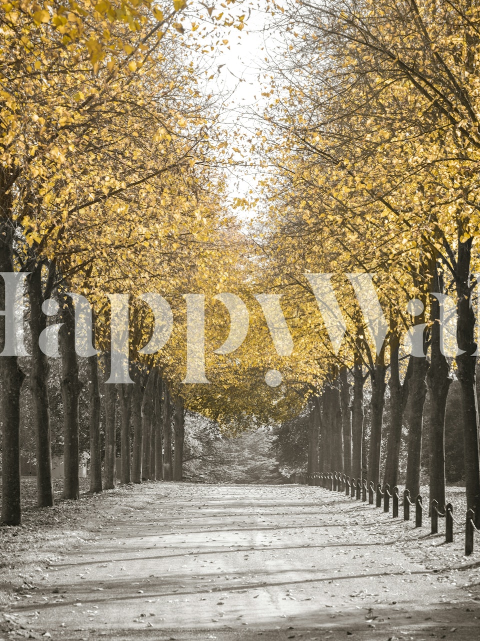 Rustic autumn pathway with golden trees and grey tones wallpaper