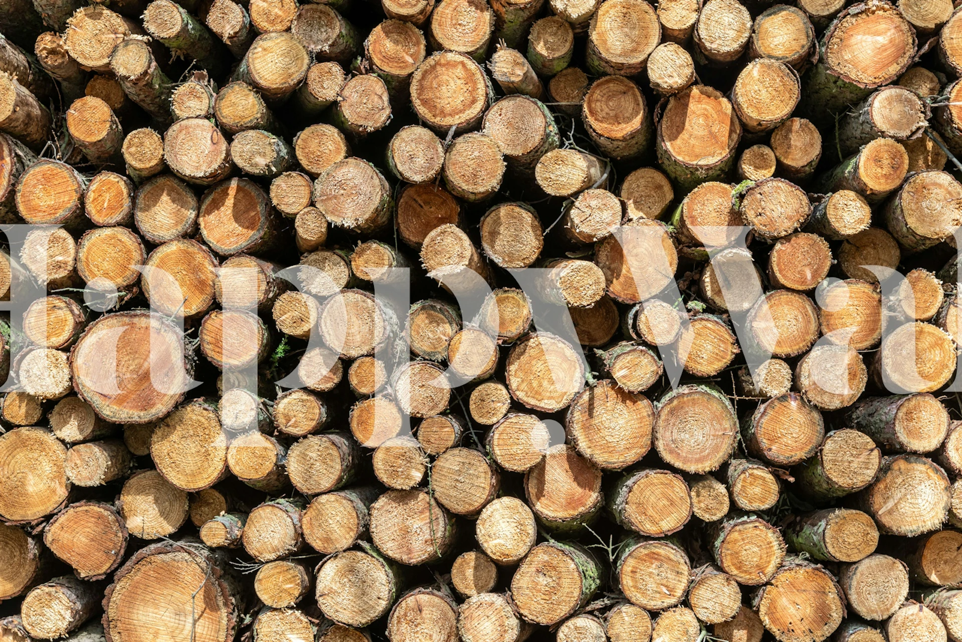 Wood log pattern in natural tones wallpaper