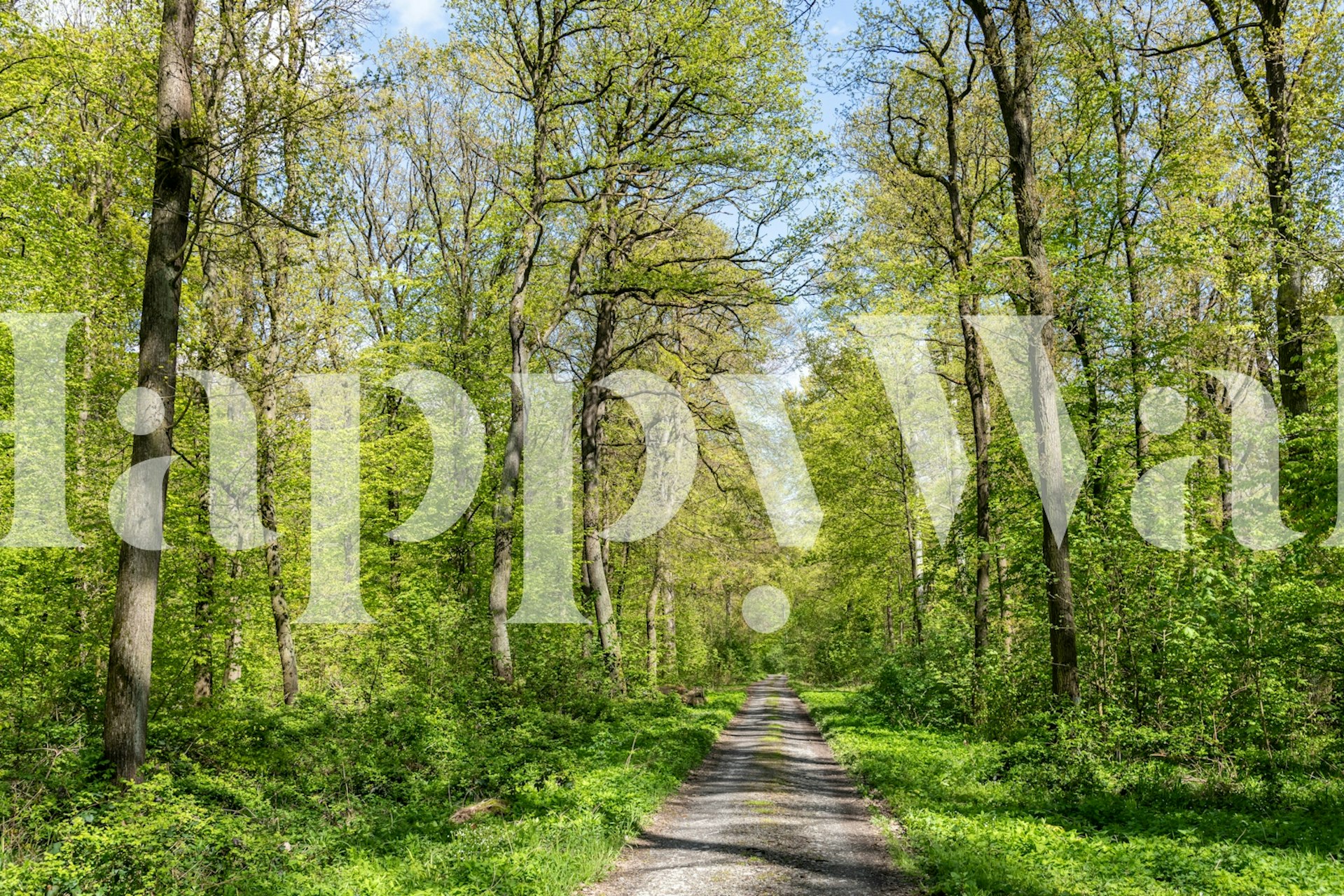 Lush green leaves and branches on a light background wallpaper
