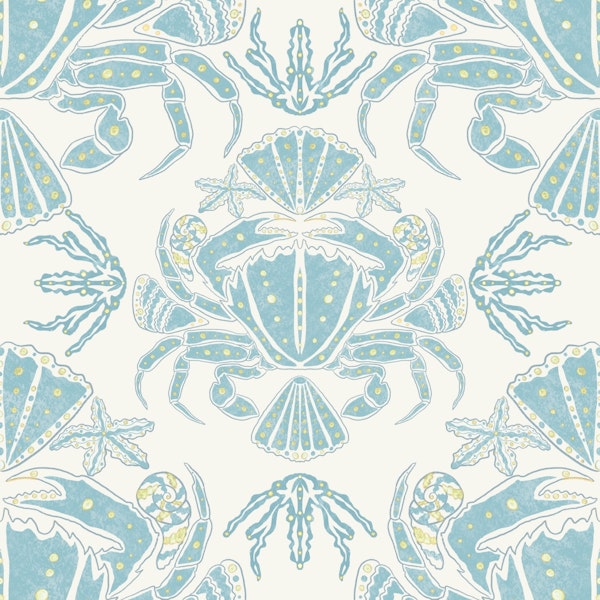 Coastal Crab and seashells